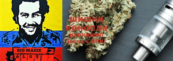 амф Лабытнанги
