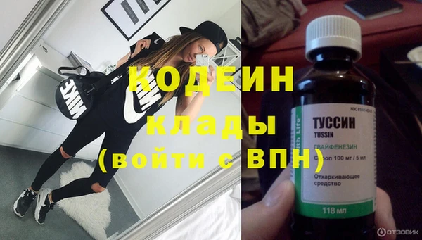 шишки Лиски